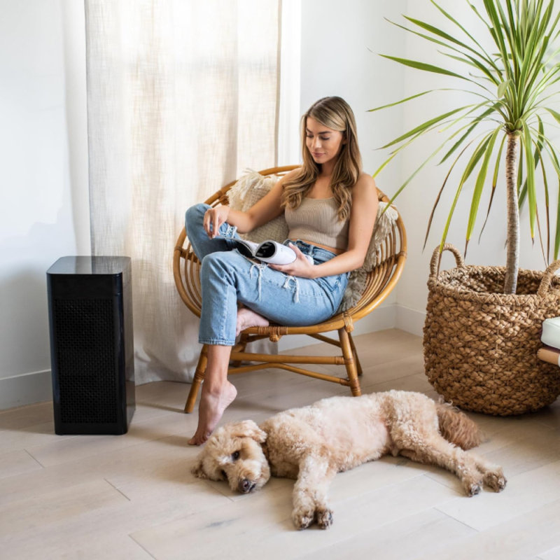 Purificateur d'air sans filtre avec filtre