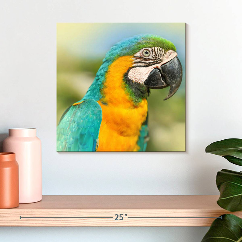 Brampt Parrot, 16" H x 16" W