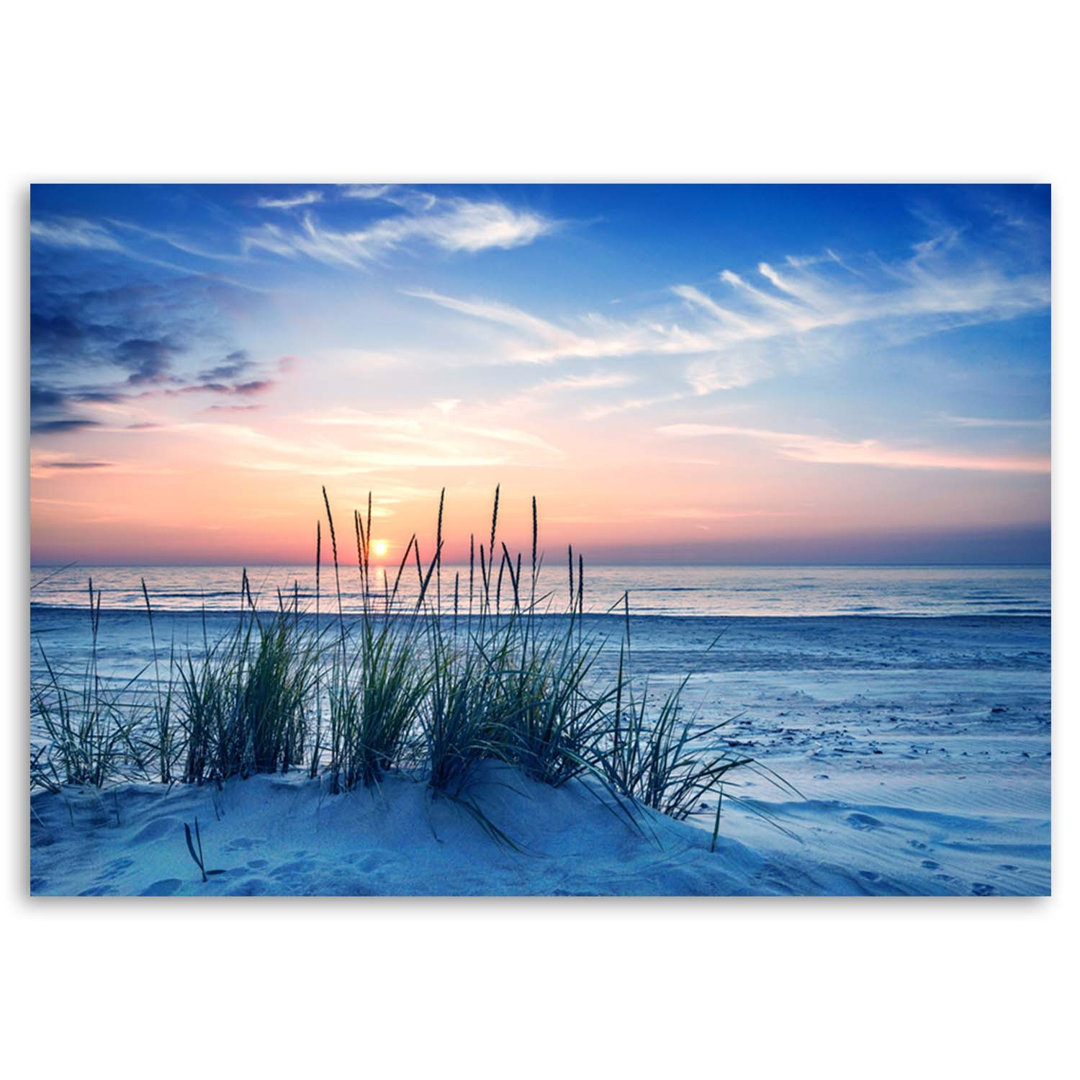 Leinwandbild Gräser am Strand