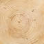 Aliza Solid Wood End Table
