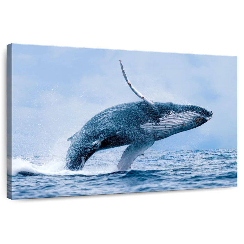 Brampt Leaping Humpback Whale, 32" H x 48" W