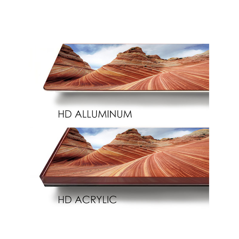 Éléphant d'Afrique - photographie, H 36 po x l 36 po x P 2,5 po, Aluminium