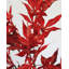 Artificial Maple Leaves 37"