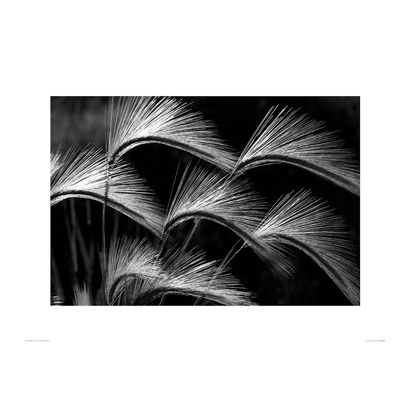 Print on Canvas, Paper