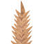 Vickerman 28" Artificial Brown Designer Sword Palm Stem 3/Bag. Features a paper based palm.-1674473033