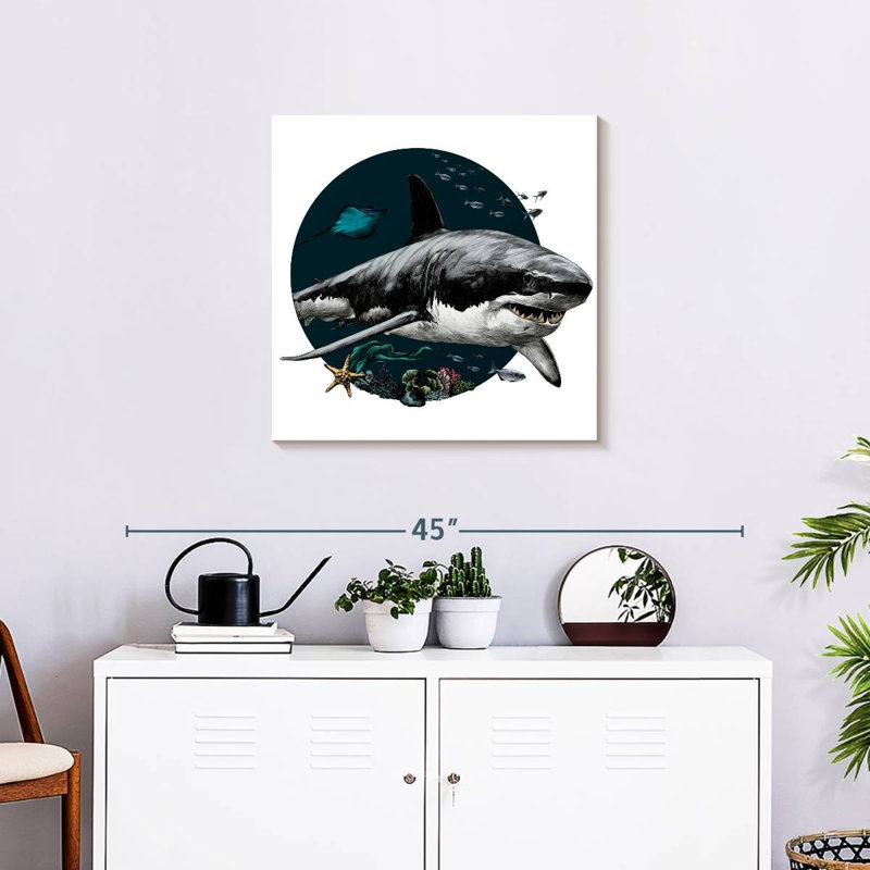 Illustration d'un requin gris Crowle, H 24 po x l 24 po