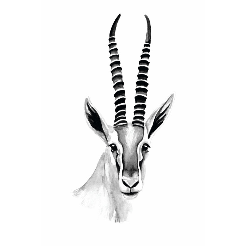 Gazelle Sketch II by Annie Warren - No Frame Print on Canvas, 91cm H x 61cm W x 3.8cm D