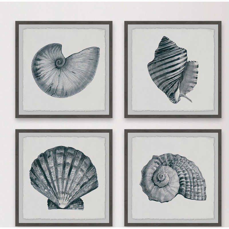 Coquillages gris - ensemble de 4 reproductions de photos, H 32 po x l 32 po x P 1,5 po