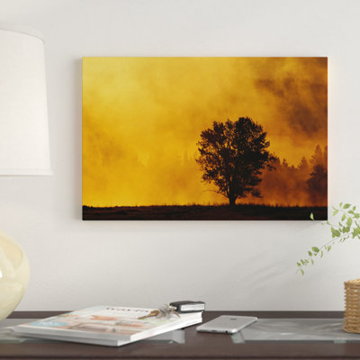 « lever à brouillard thermique et solitaire sapin grand teton national park wyoming », reproduction d’impression sur toile