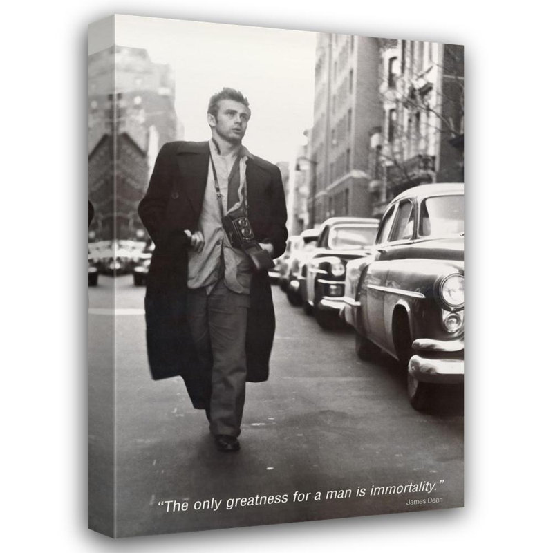 James Dean-Immortality IMP-ST4122, 24'' H x 16'' W