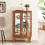 Élégante armoire vitrée à 2 portes avec portes en verre trempé, panneau arrière en miroir et tablettes réglables - vitrine lumineuse pour la maison et le bureau (ampoule incluse)-121045914