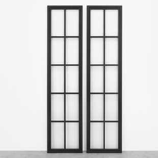 Metal Frame with Glass Barn Door
