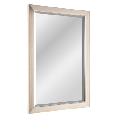 Alvaretta Brushed Nickel Framed Modern Mirror
