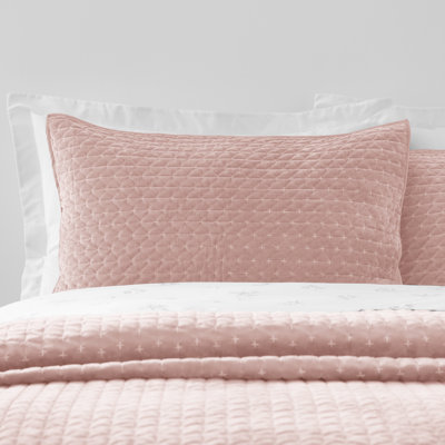 Attica Velvet Embroidered Pillow sham Pair
