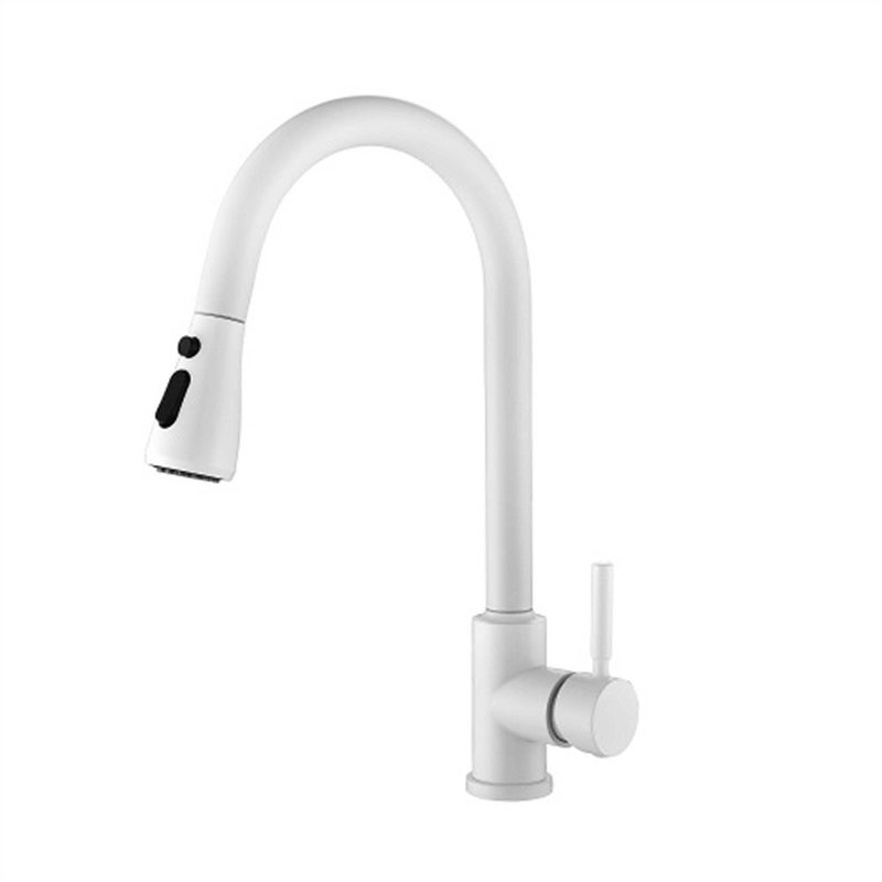 Robinet de cuisine rétractable à poignée simple avec accessoires