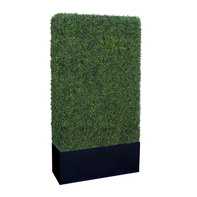Faux Boxwood Hedge in Wood Planter, Black, 90" H x 40" W x 16" D