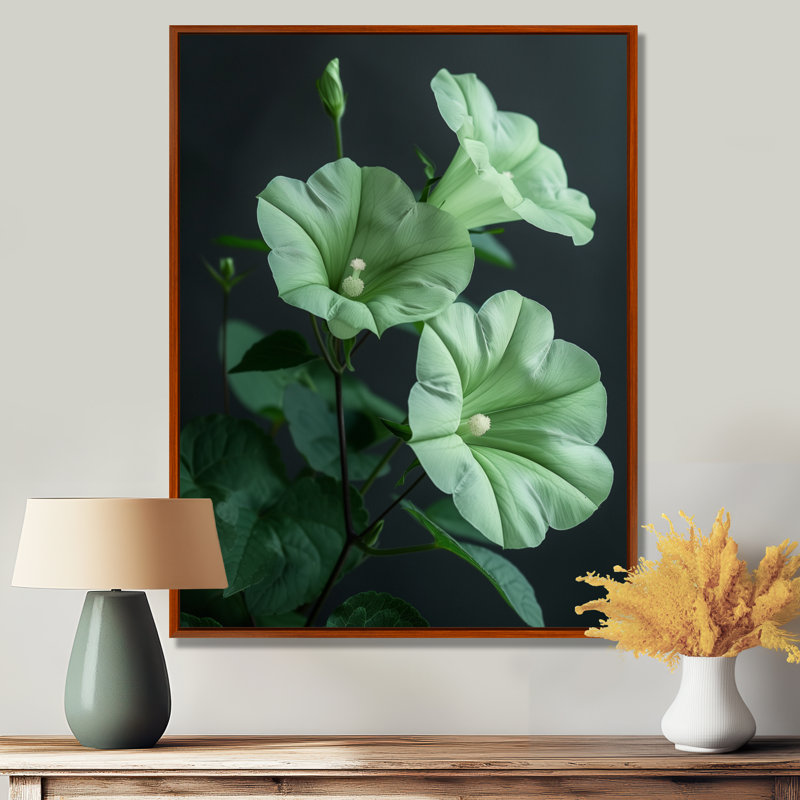 «Green Garden Meadow Morning Glory Photo I - Morning Glory», art mural salon, Cadre flottant brun, H 30 po x l 40 po
