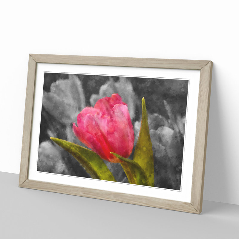 Pink Tulip Flower - Framed Print, 48cm H x 65cm W x 2cm D, Oak Framed