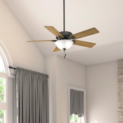 Ventilateur de plafond Best Energy Star® de 52 po Hunter avec lumières et chaînes de traction Hunter