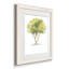 Larbre - reproduction de cadre photo sur papier-558034450-558034540