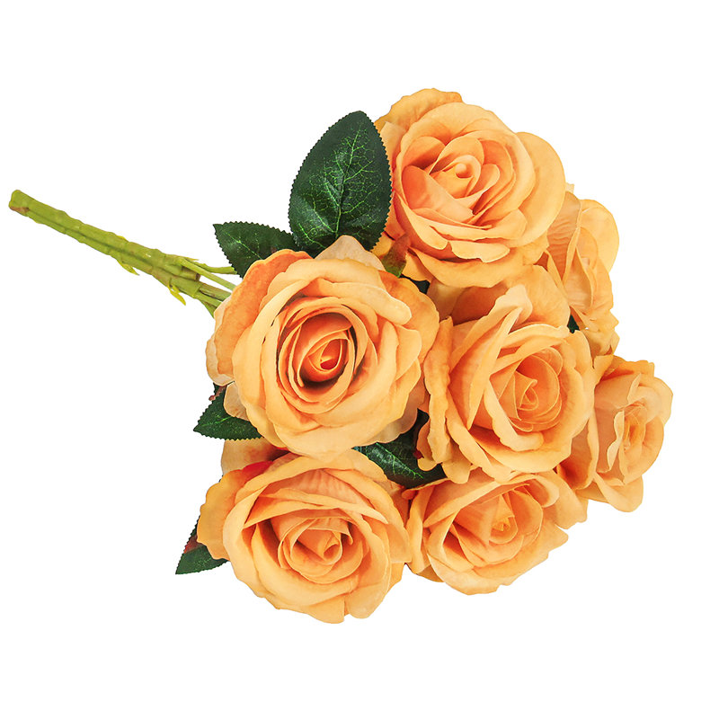 Velours rosier, Orange
