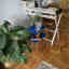Customer photo 2 of 4