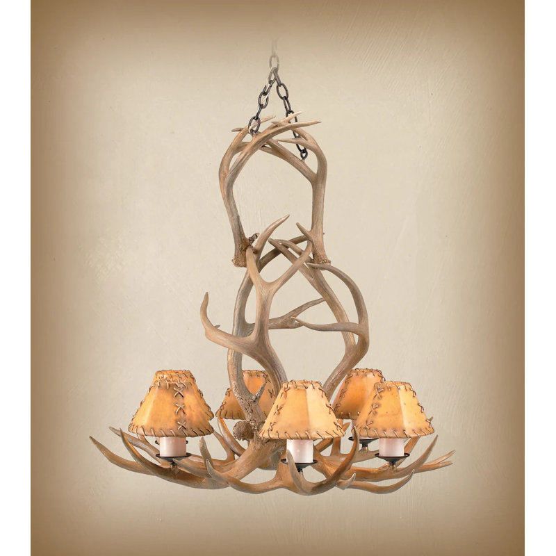 6 - Light Chandelier