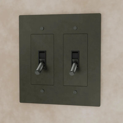 Toggle Switch