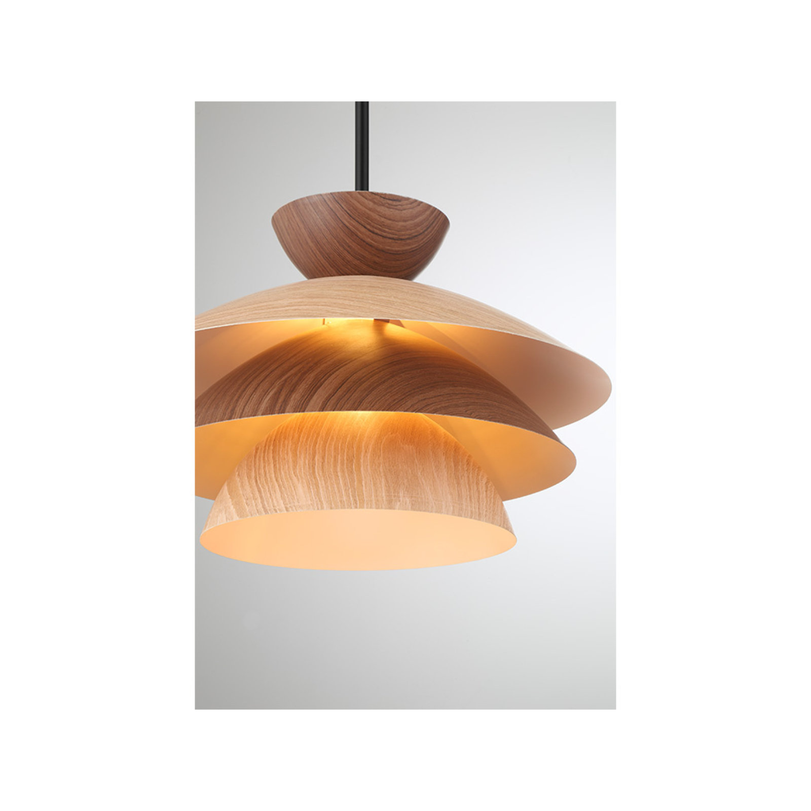 Whitaker 1-Light Pendant in Matte Black