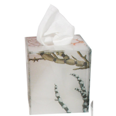 Neptune Tissue Holder