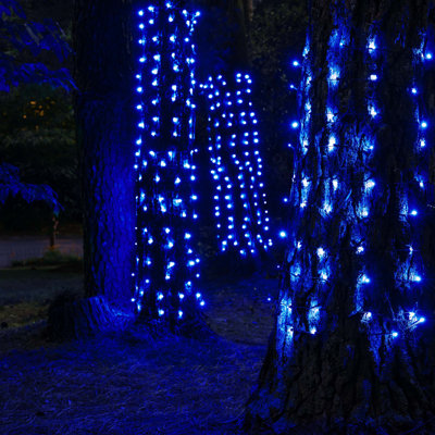 Trunk Wrap LED Stretch Net Lights