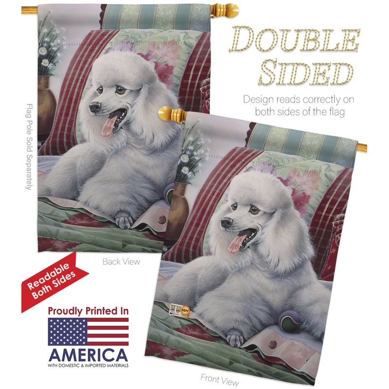 Polyester 40 x 28 po caniche 2 côtés ensemble de drapeau