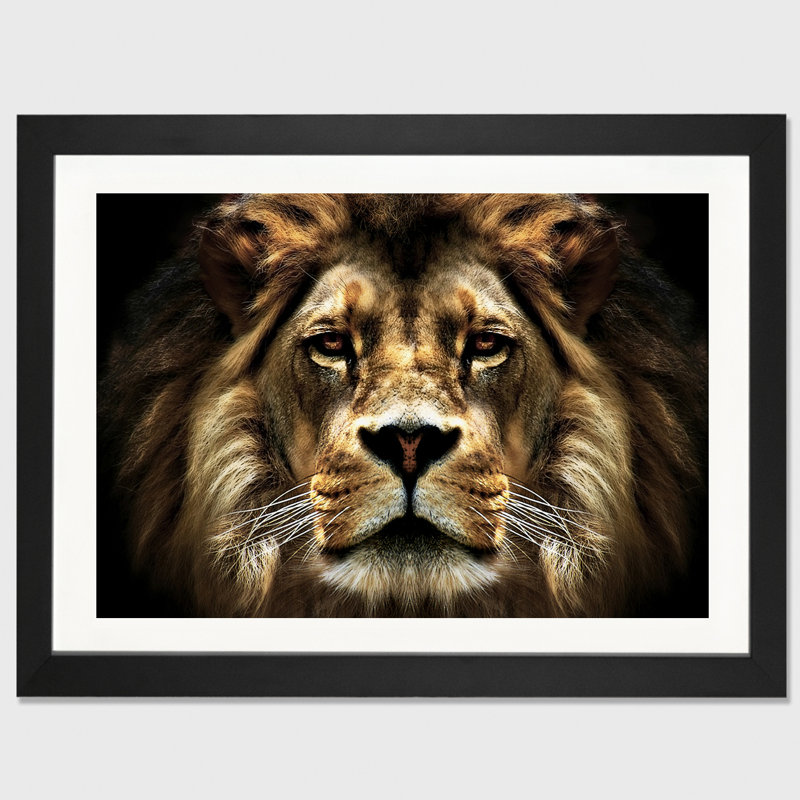 «The Lion», reproduction de photo, H 16 po x l 24 po x P 1 po, Papier encadré blanc