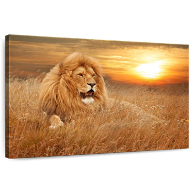 Coucher de soleil Brampt Safari