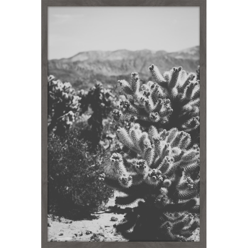 Chollo Cactus 1 Piece Single Picture Frame Wall Art, 91cm H x 61cm W x 4cm D