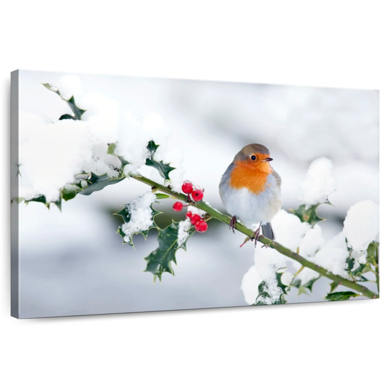 Brampt Winter Robin Songbird
