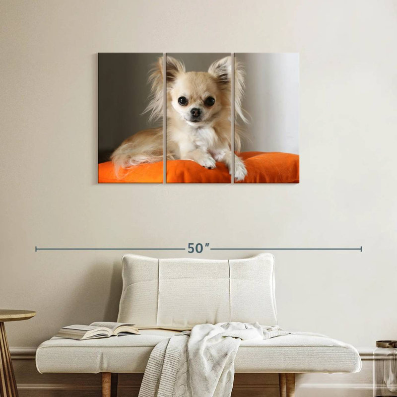 Chihuahua sur un coussin, H 24 po x l 38 po