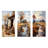 Farmhouse Rustic Retreat - Countryside Metal Prints Set Of 3-581053452