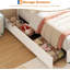 Structure de lit simple avec 4 tiroirs de rangement et lumières DEL, lit plateforme tapissier en velours avec tête de lit arc-en-ciel, support de lattes en bois massif, aucun sommier nécessaire-1240825359