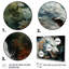 «Snediker China Art Jade Dragon II», reproduction-1171113765-1171113764