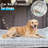 Dog Car Seat Cover, Non-Slip Bench Protector Mat Compatible With Backseat Extenders For Cars, Trucks & Suvs-997851930
