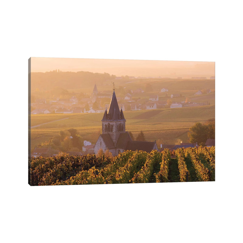Ville Dommange Vineyards, Champagne, France 1 Piece Wrapped Canvas Wall Art, 101.6 cm H x 66.04 cm W x 1.91 cm D