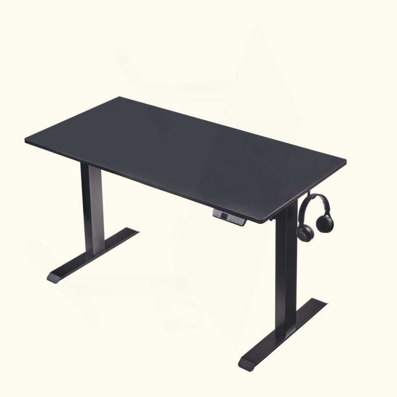Electric Standing Desk, Adjustable Height Stand Up Desk, 24X48 Inches Sit Stand Home Office Desk, 47.25" H x 48" W x 24" D