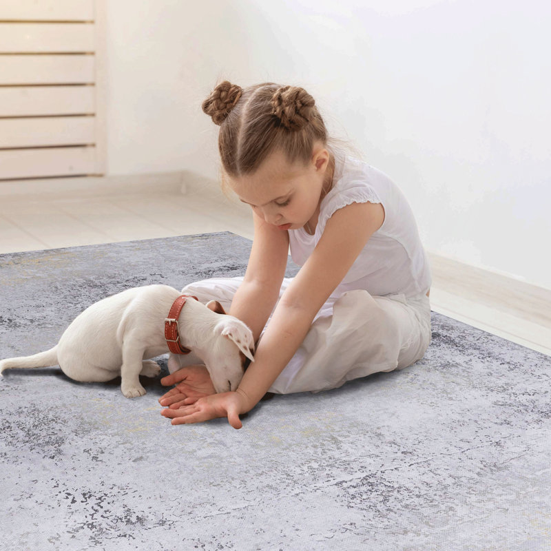 3x5 Area Rug, Machine Washable, Low-pile, Non-slip, Non-shedding, For Bedroom, Living Room, Kitchen, Foyer - Gray Material Dining Room