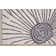 Asiha Floral Indoor Rug