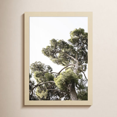 Reshma "Japanese Garden 01" Print