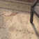 Lundeen Wool Oriental Indoor Rug