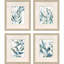 Underwater Botany Set by Barnes Propac Images