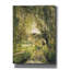 Sunlit Stream par Stellar Design Studio - impression sur toile tendue-1205956577