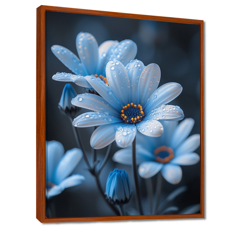 Fleurs de gouttes de pluie monochromes bleues et noires I - marguerites, Cadre flottant brun, H 16 po x l 32 po